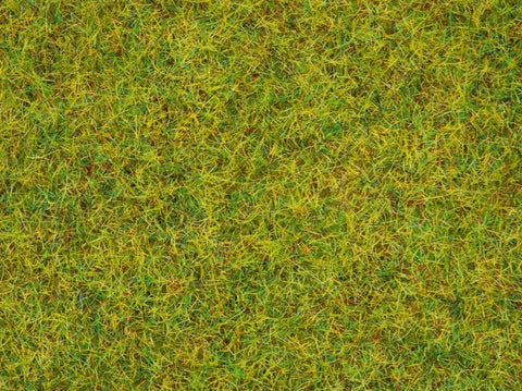 Noch 50190 Scatter Gras ‚Summer Meadow’, 2.5mm length 100g