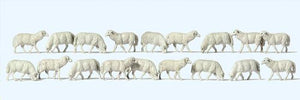 Preiser 14161 H0 Sheeps 18 pieces Assorted